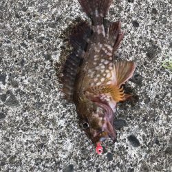 爆風の中のライトゲーム